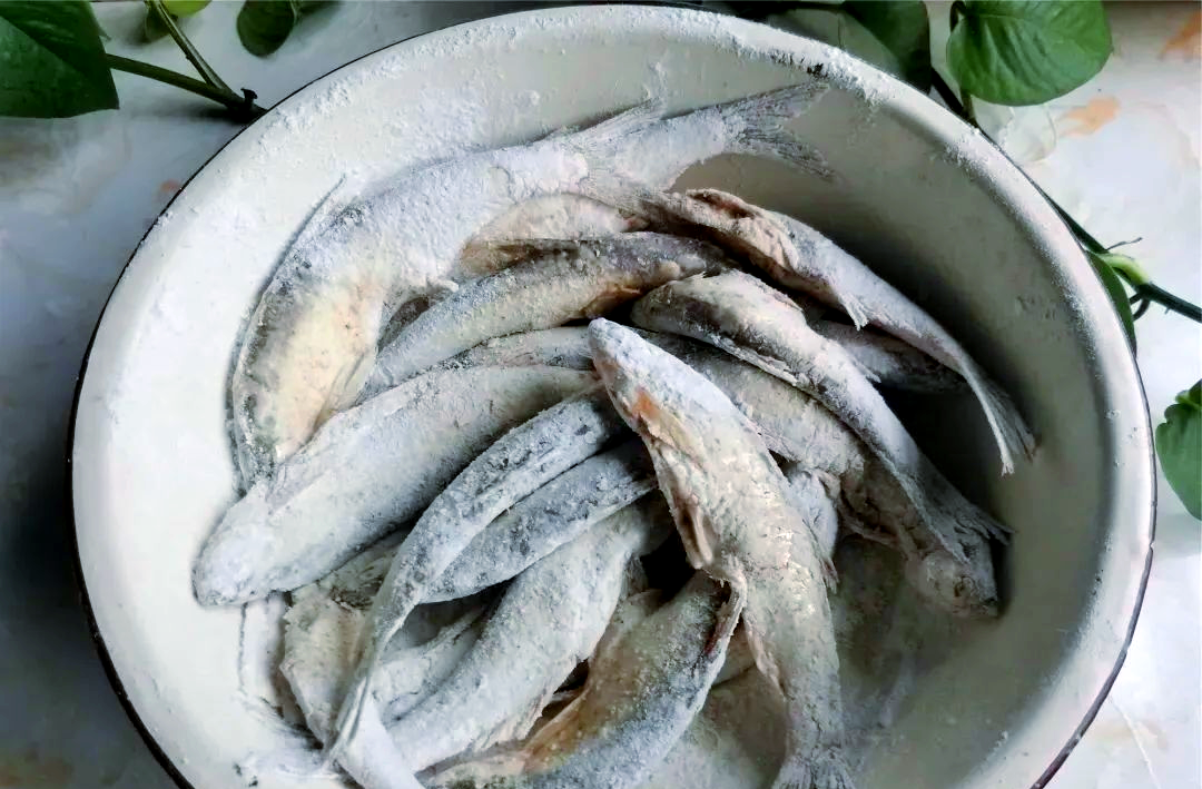 海钓小白鱼保存(小白鱼怎么钓)