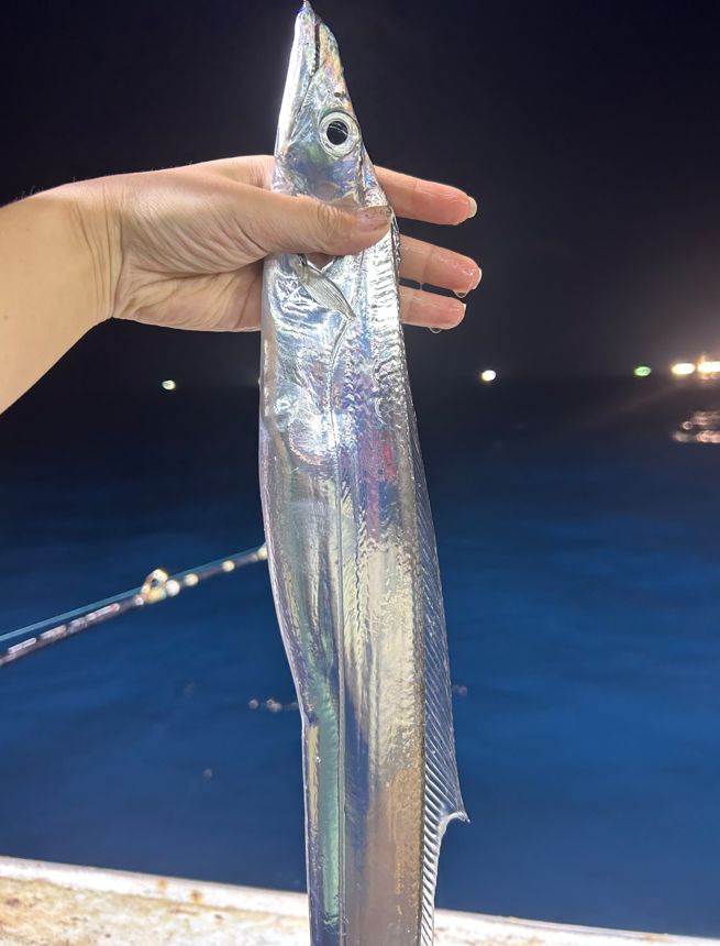 象山能海钓吗(象山钓点)