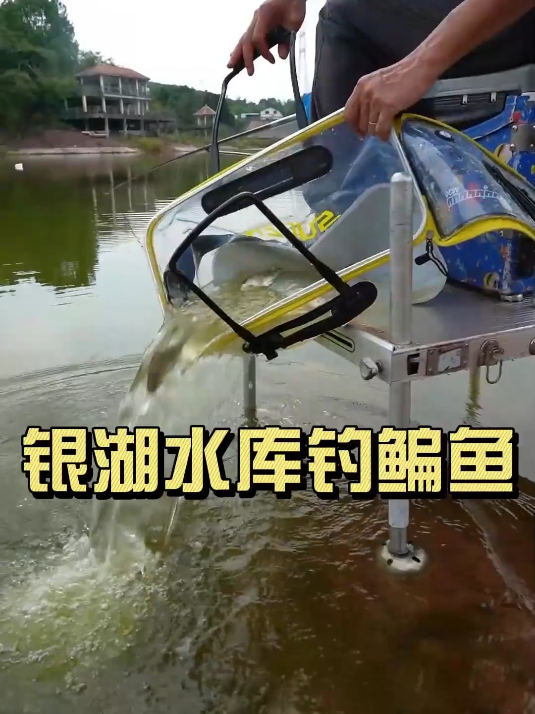 钓扁鱼的技巧(钓扁鱼的技巧视频)