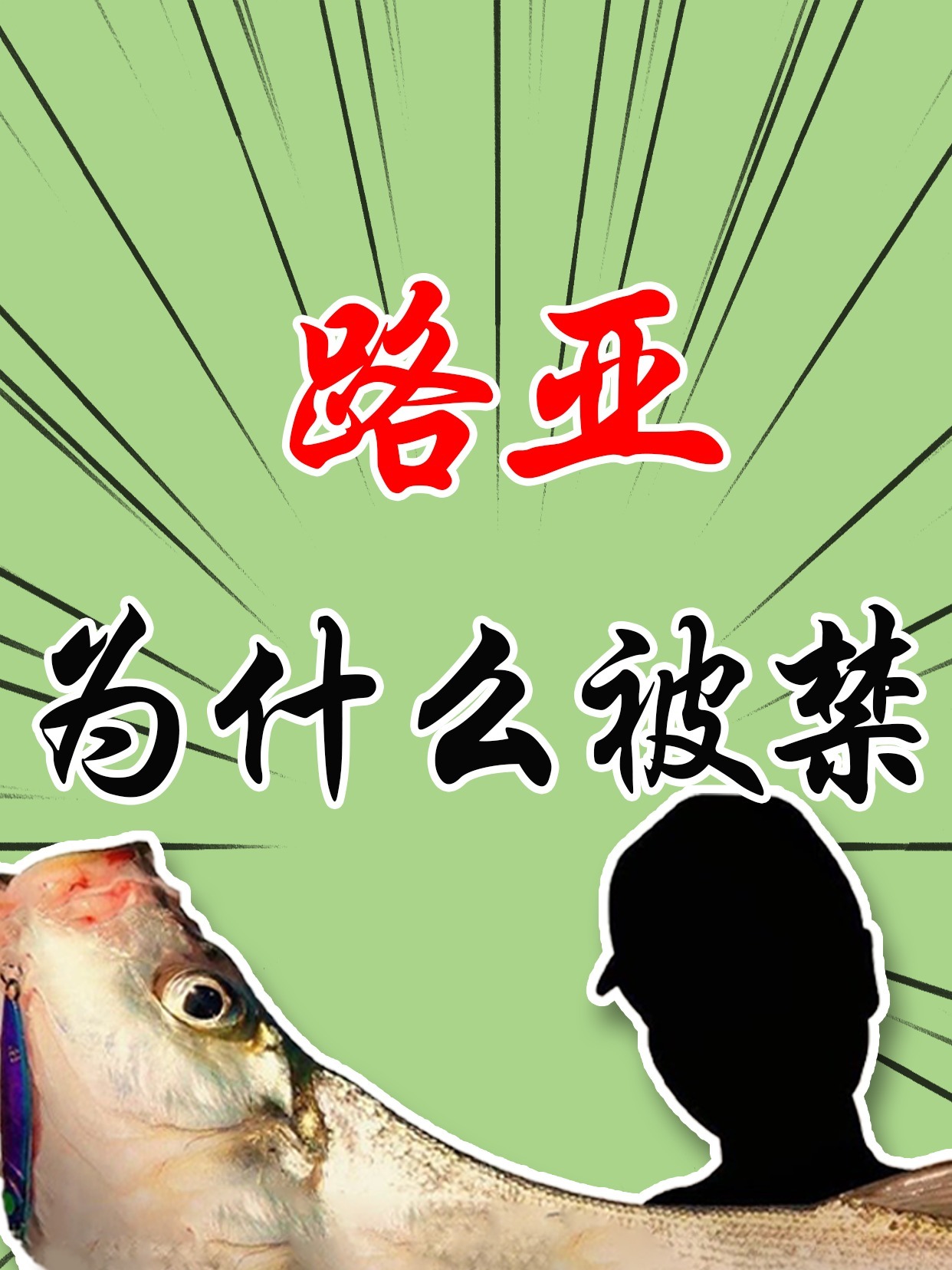 国内禁止路亚(不准路亚了吗)