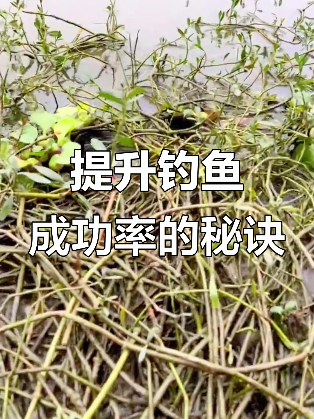 钓鱼打比赛怎么开饵料(钓鱼比赛的技巧以及方法)