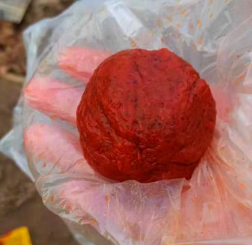 秋季用的成品饵料(秋季用的成品饵料是什么)