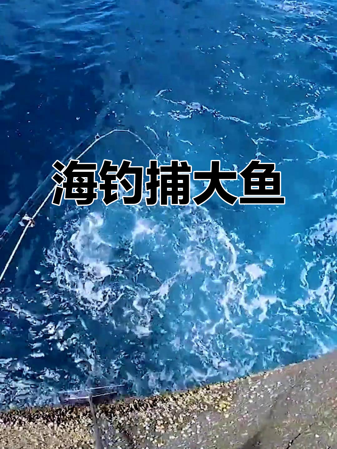 礁石海钓(礁石海钓用几米的竿)