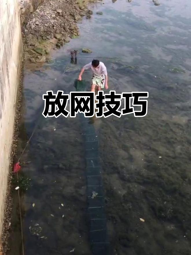 下虾笼技巧视频(下虾笼技巧视频大全)