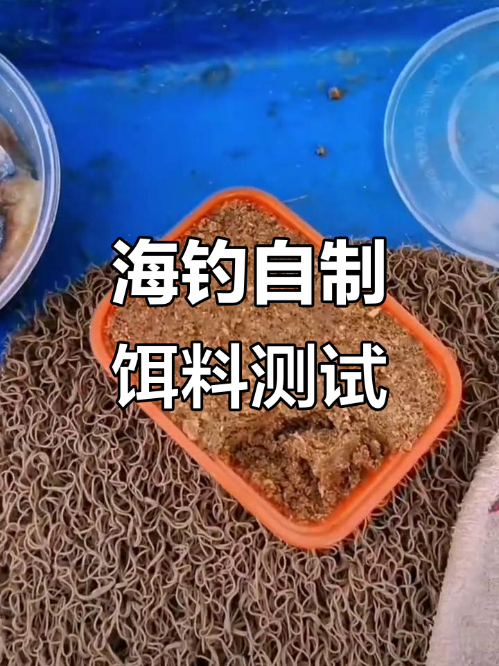 海钓饵料制作(海钓鱼饵料)