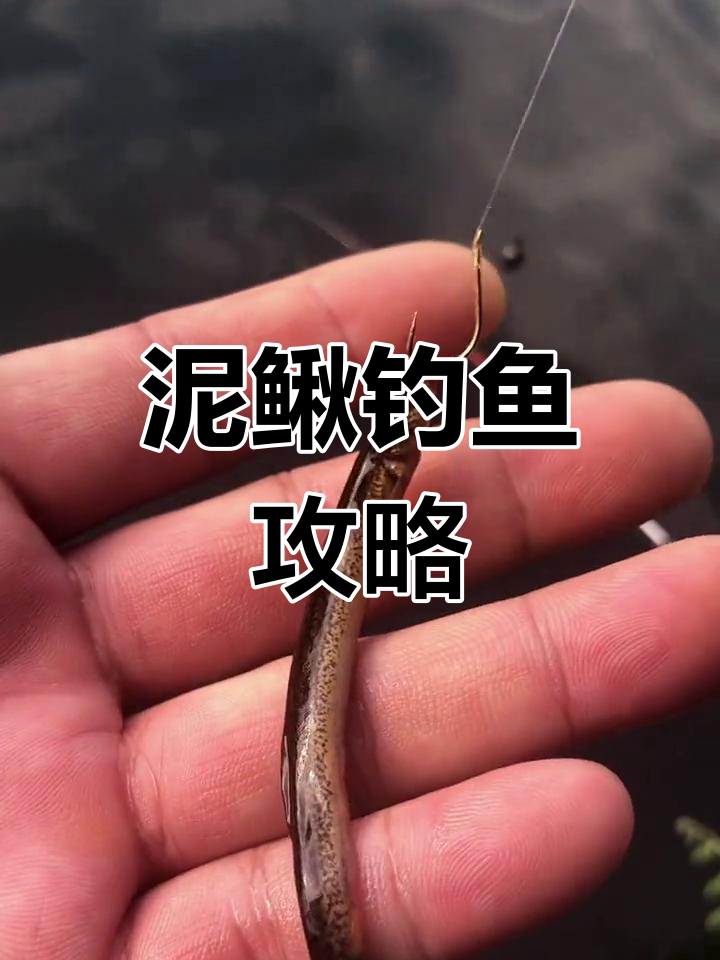 海竿路翘嘴技巧(海竿钓翘嘴的方法)