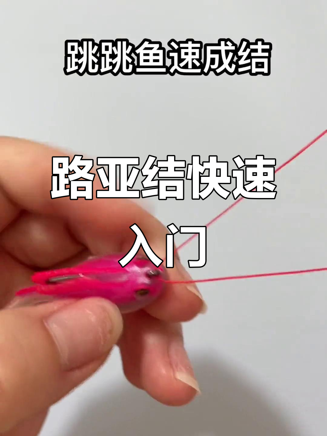 路亚绑阿波(路亚竿阿波钓鲫鱼)