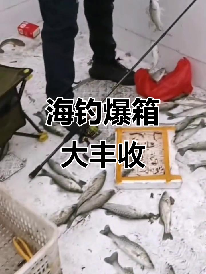 曹妃甸可以海钓的地方(曹妃甸哪里可以钓淡水鱼)