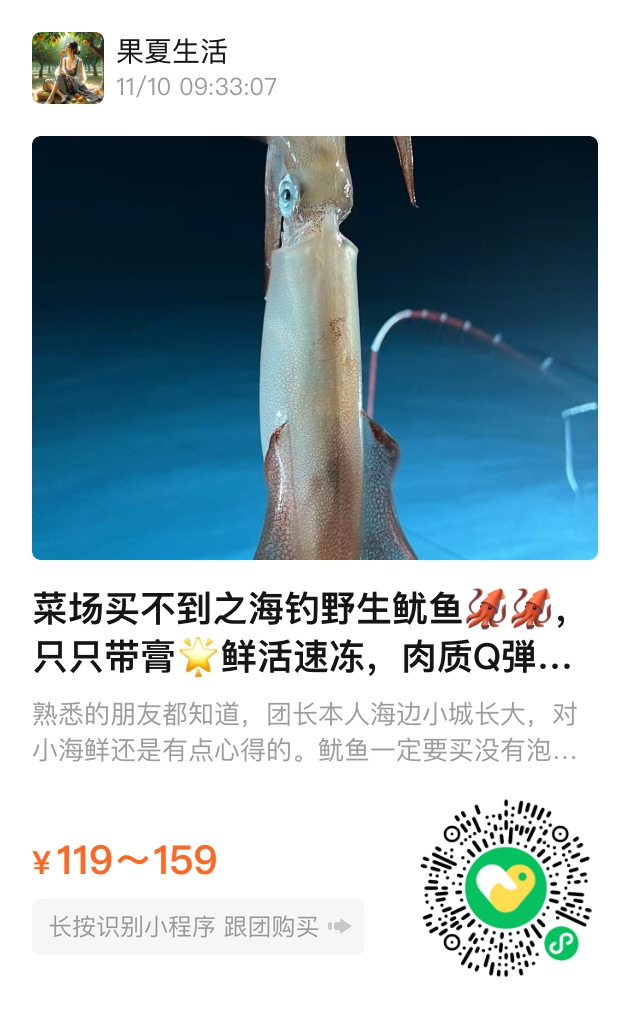 海钓小鱿鱼技巧(海钓鱿鱼钓法)