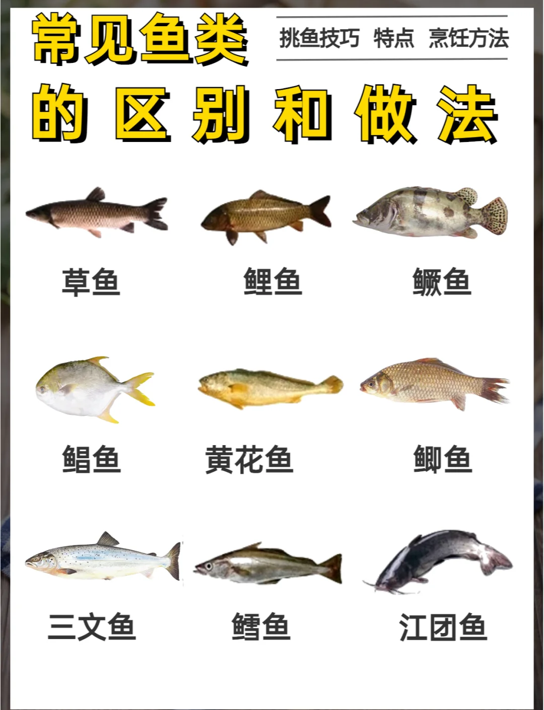草鱼吃什么味商品饵料(草鱼爱吃什么味道的食物)