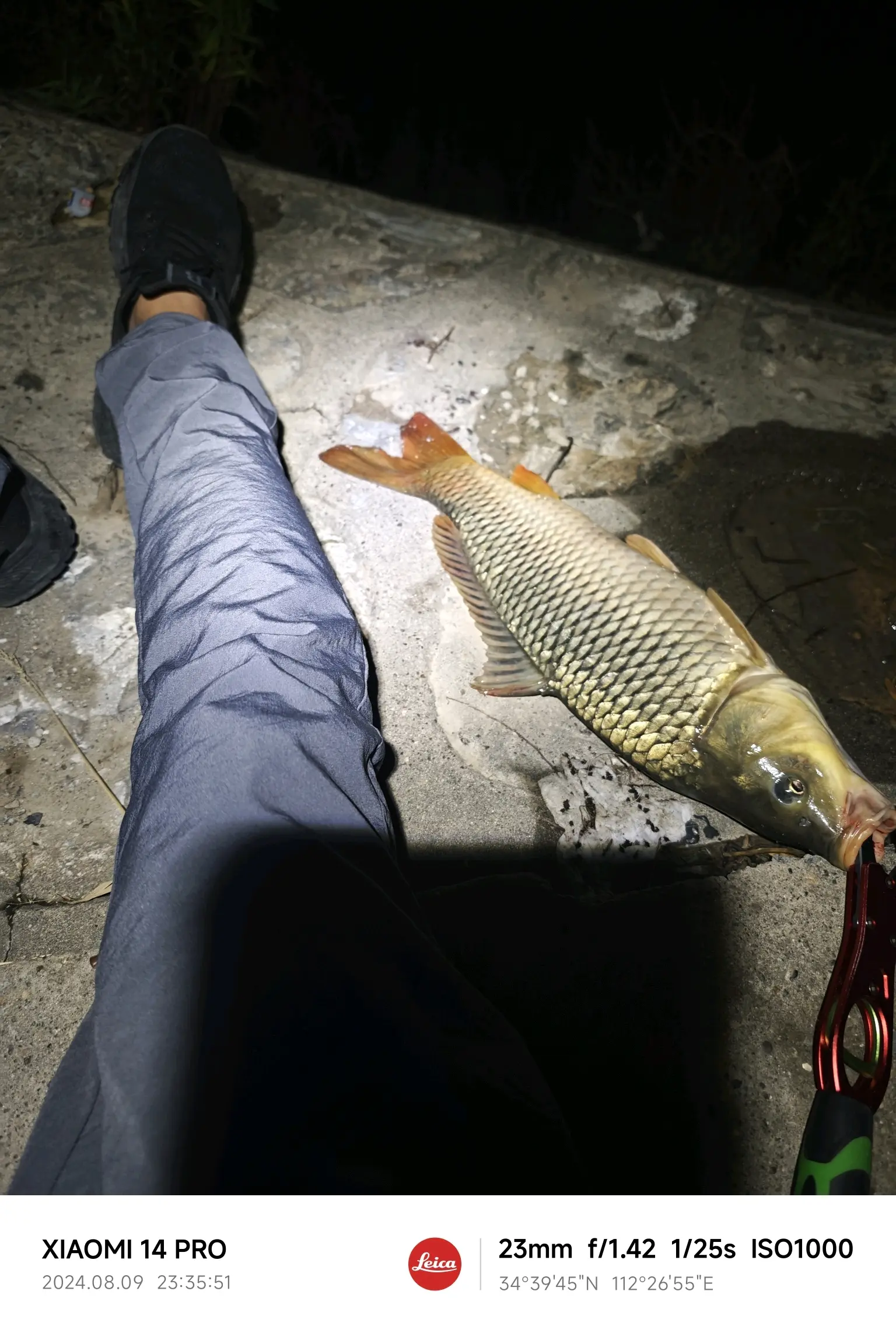 路亚学堂鲤鱼(路亚鲤鱼视频大全集)