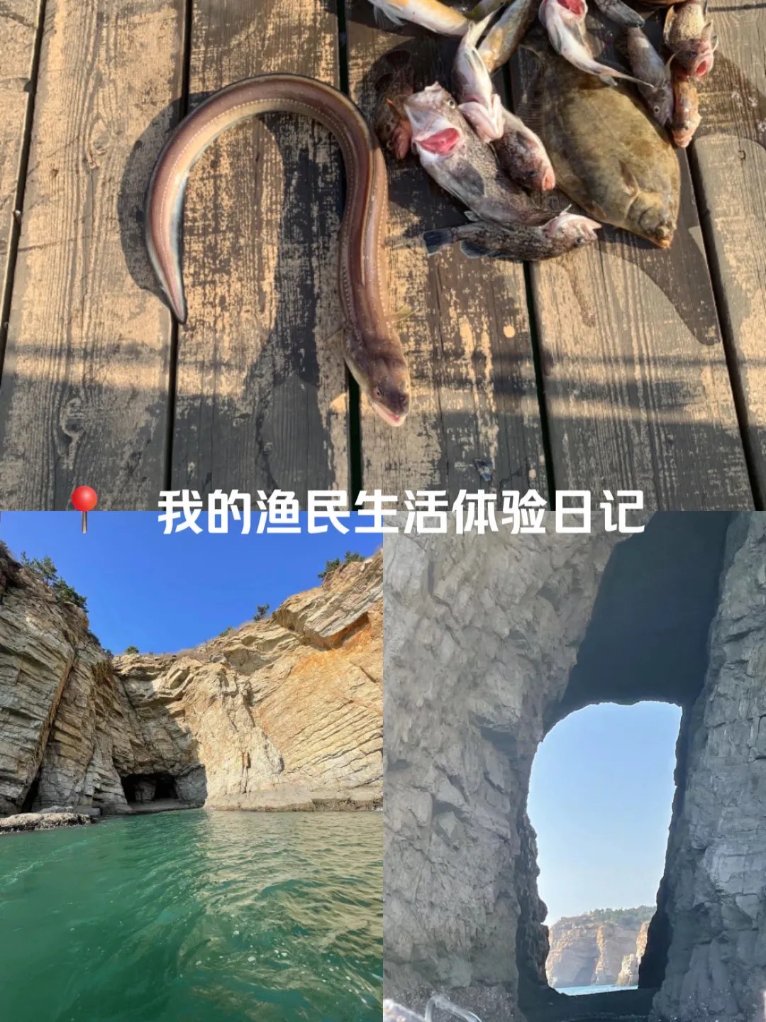 上周上海海钓(上海海钓地点)