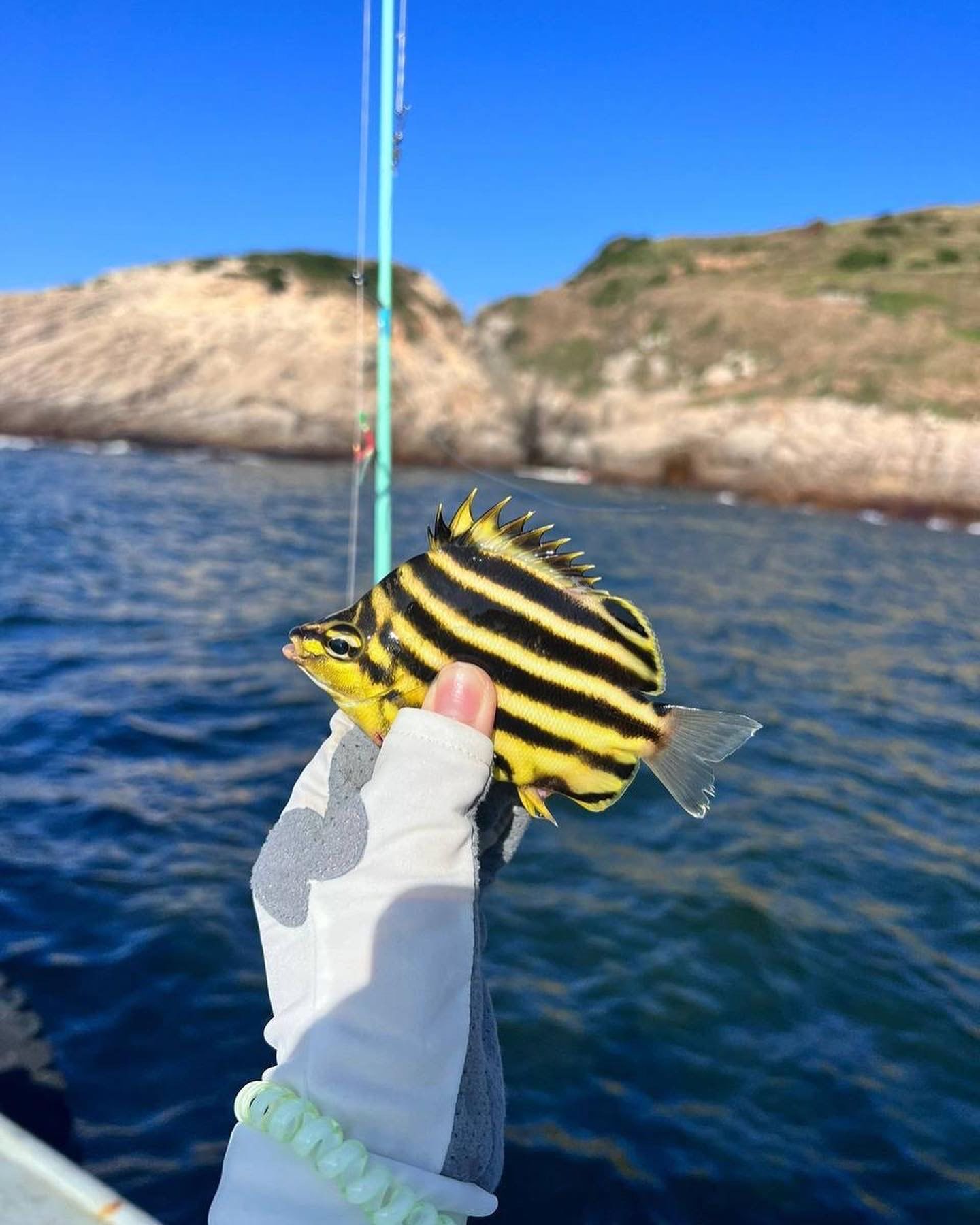 霞浦去哪里海钓(霞浦野钓地点有那些)