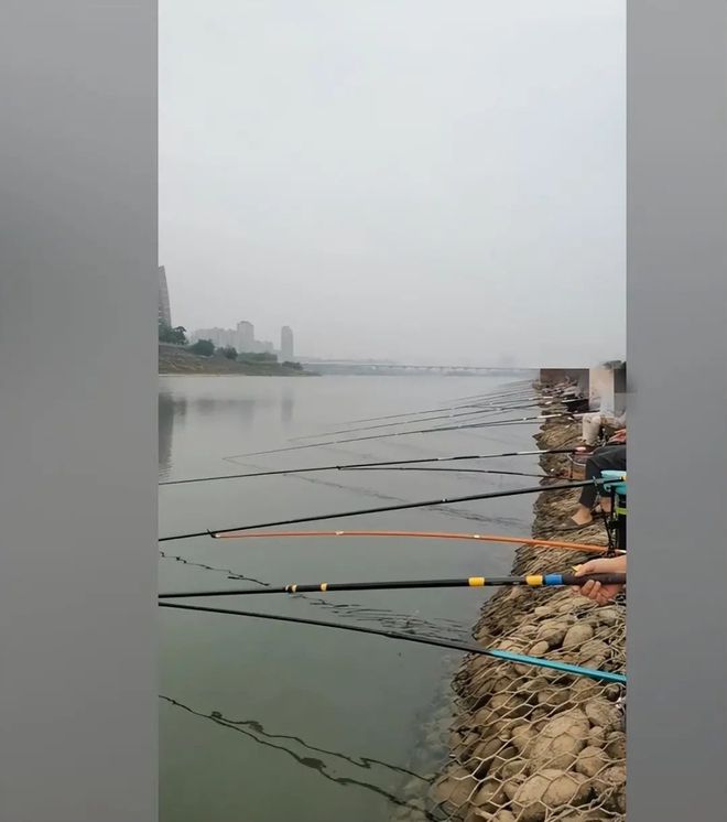 嘉陵江南充钓大鱼技巧(嘉陵江现在是禁渔期吗)