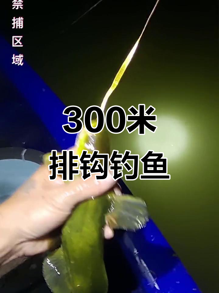 钓昂丁鱼技巧(昂丁鱼怎么烧才好吃)