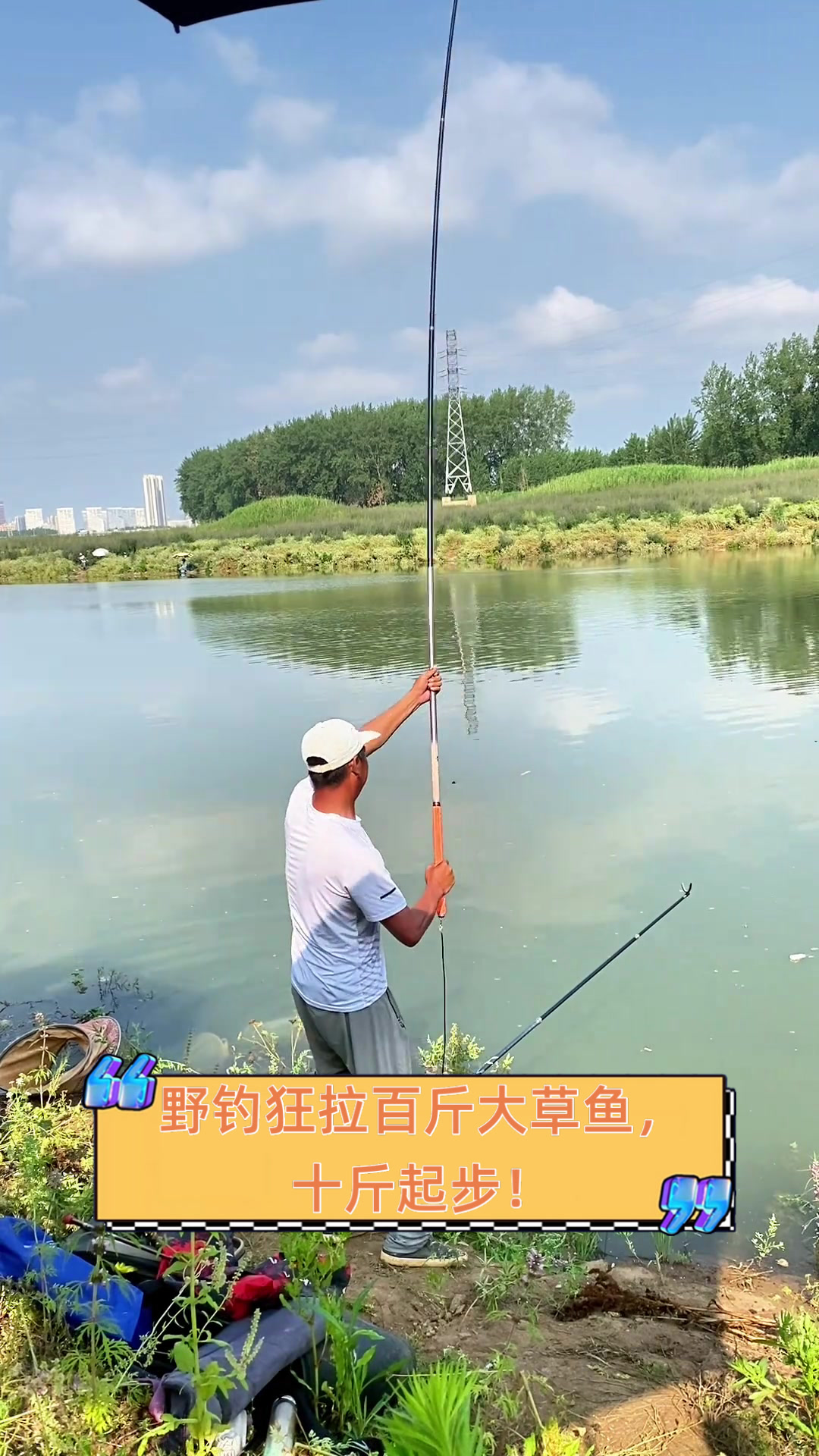钓鱼饵料巨无霸草鱼(钓草鱼最顶级的绝杀饵)