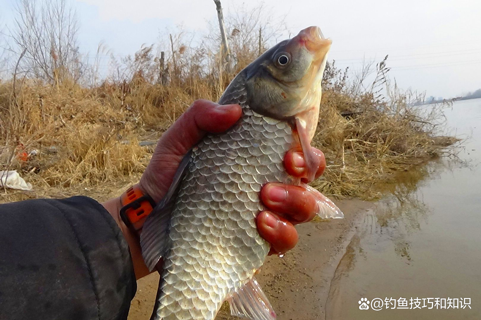 饵料不压漂(饵料压不住漂怎么办)
