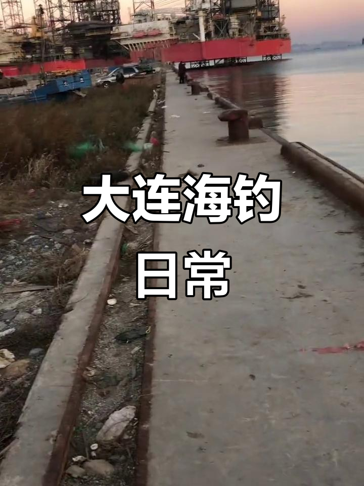 大连免费海钓位置(大连海钓点)