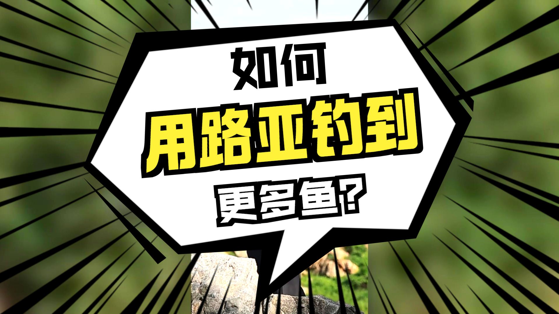 路亚亮片钓海鲈鱼技巧(路亚亮片能钓海鱼吗)