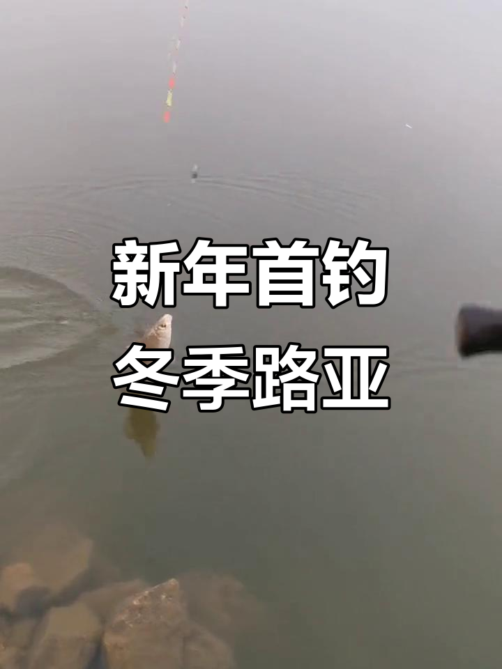 冬季路亚直播(冬季路亚教学)