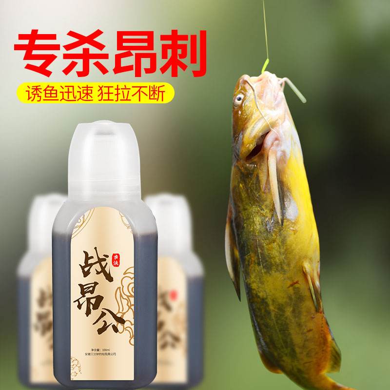 钓黄拉丁饵料(钓黄拉丁饵料配方)
