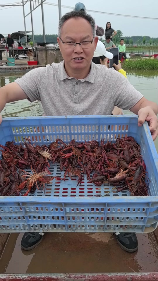 虾塘里钓鱼技巧(虾塘钓虾技巧) 虾塘里钓鱼技巧(虾塘钓虾技巧)