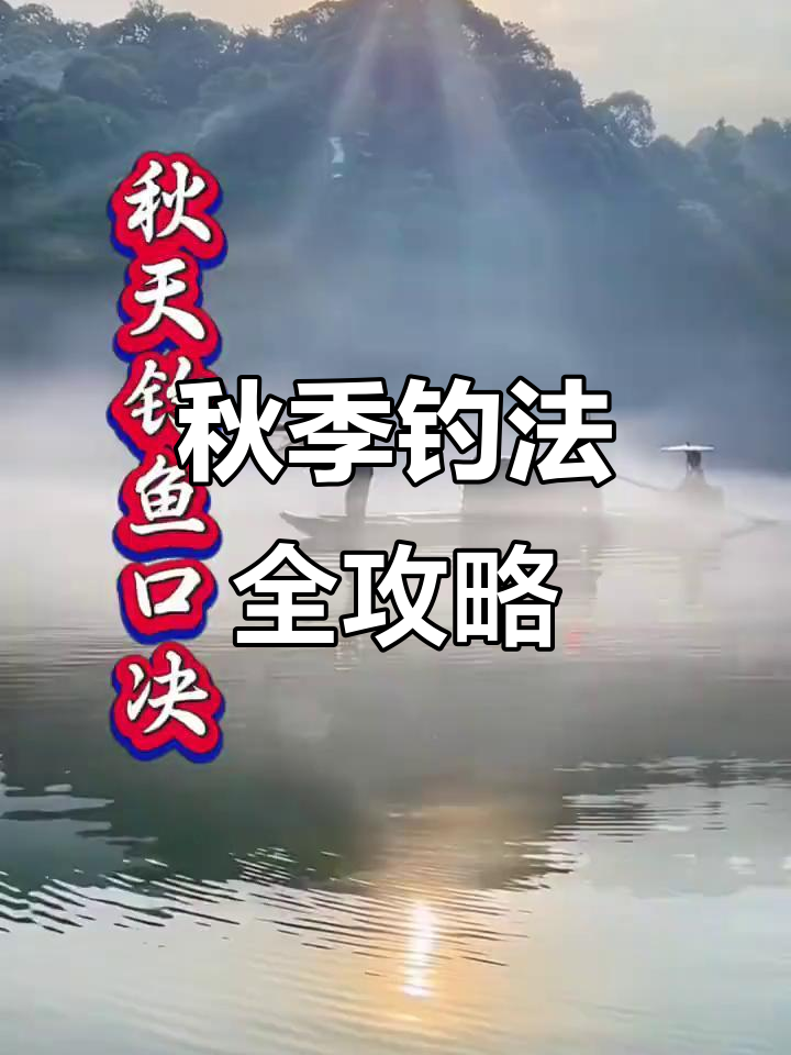 秋季如何钓鱼技巧视频(秋季如何钓鱼技巧视频讲解)