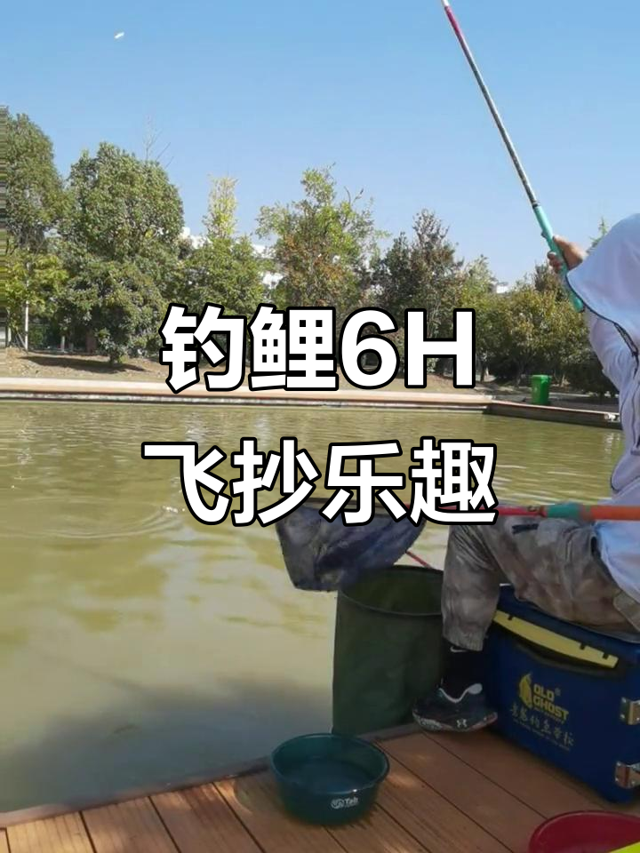 钓鱼飞抄技巧视频教学(钓鱼如何飞抄)
