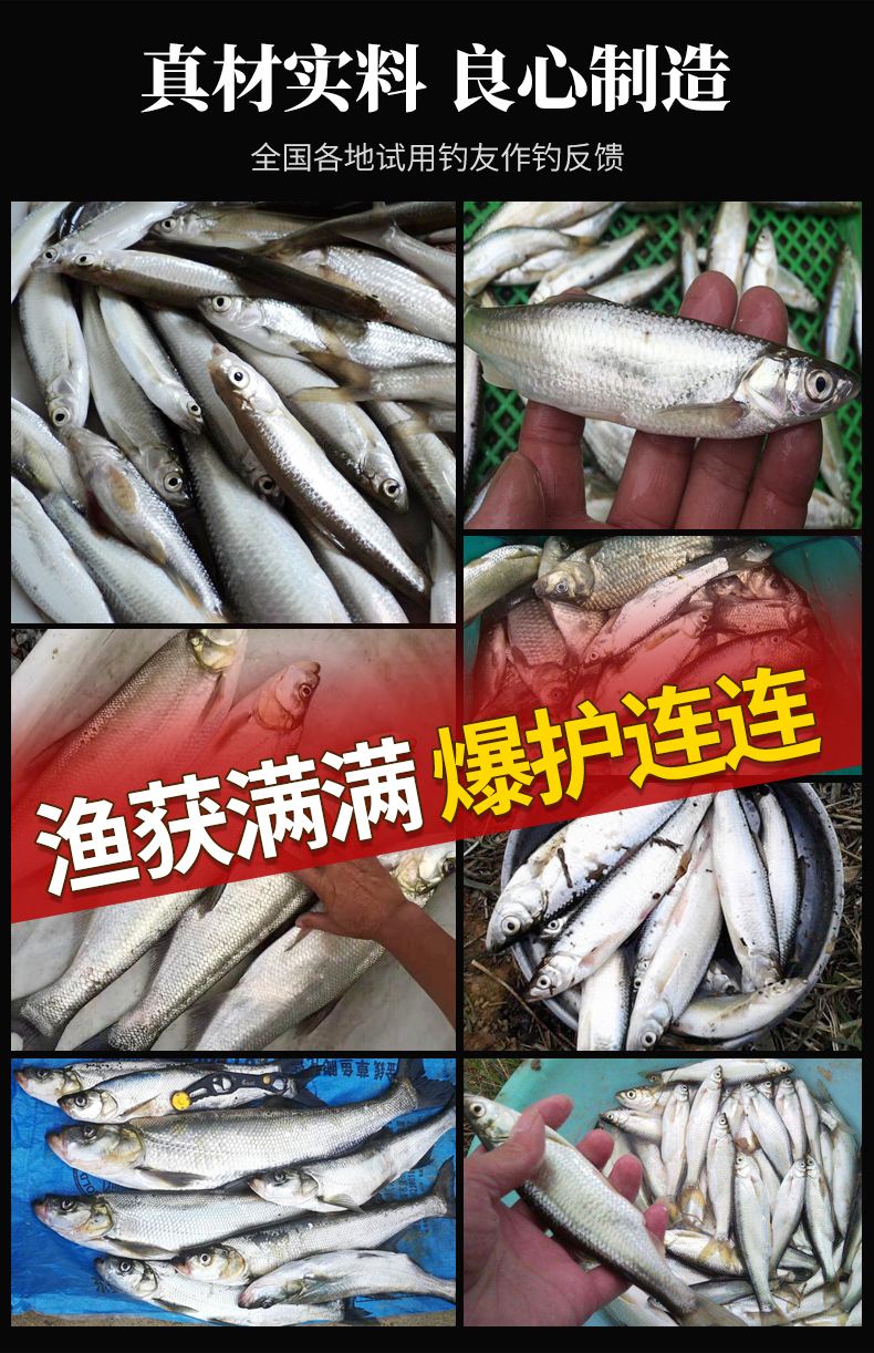 船钓白果子饵料(钓白果子用什么饵料好)