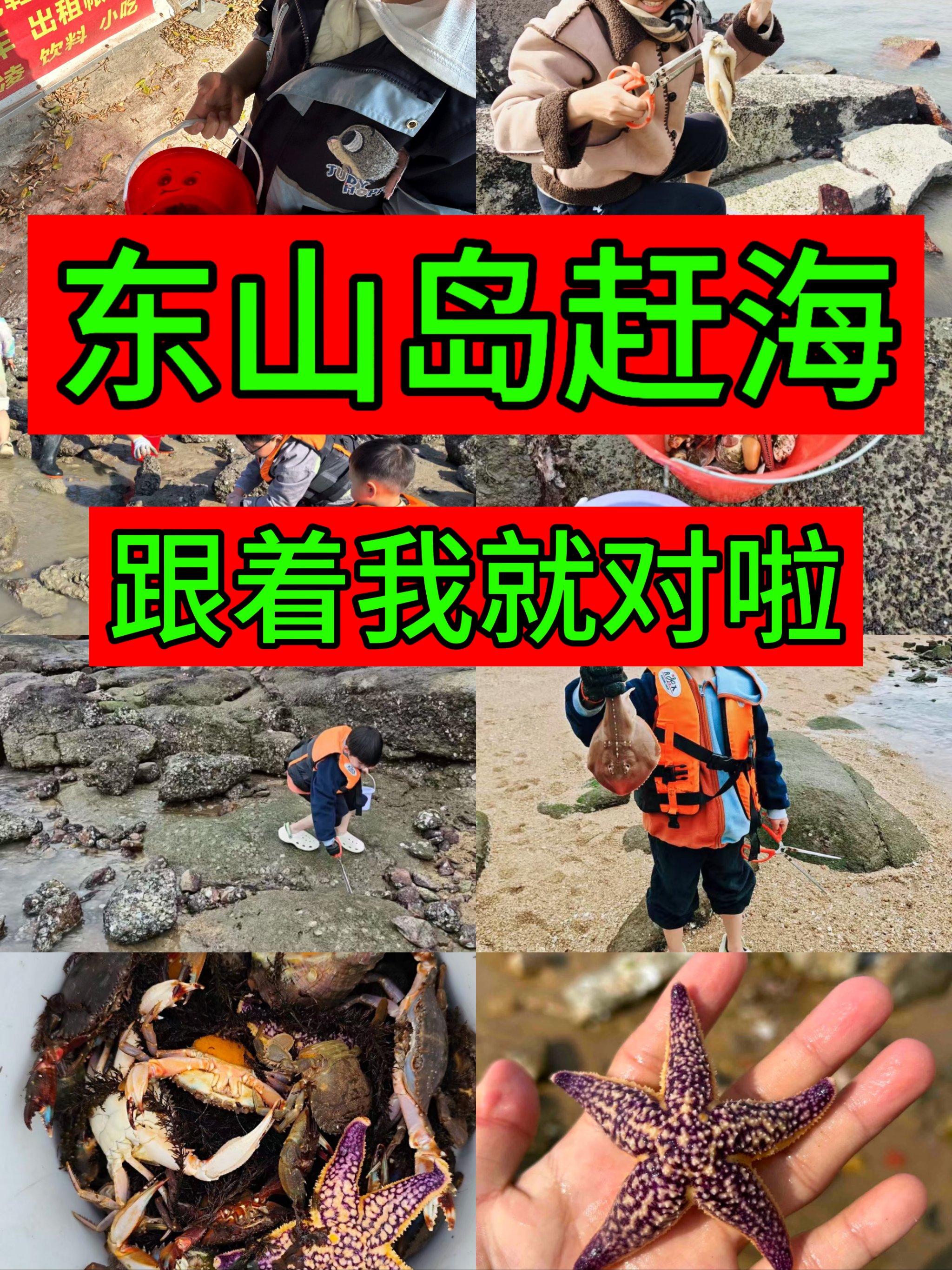 东山岛海钓赶海(东山岛 海钓)