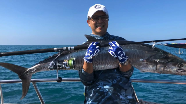 海钓马鲛鱼(海钓马鲛鱼技巧)