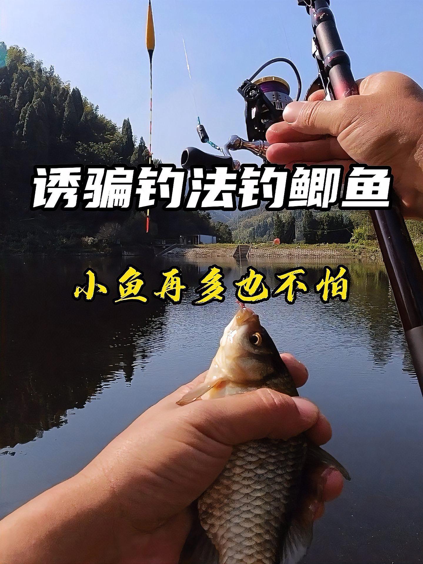 春季钓鲫鱼技巧视频(春季钓鲫鱼野钓视频) 春季钓鲫鱼技巧视频(春季钓鲫鱼野钓视频)