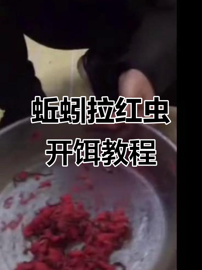 红虫拉饵使用技巧大全(红虫拉饵怎么样) 红虫拉饵使用技巧大全(红虫拉饵怎么样)