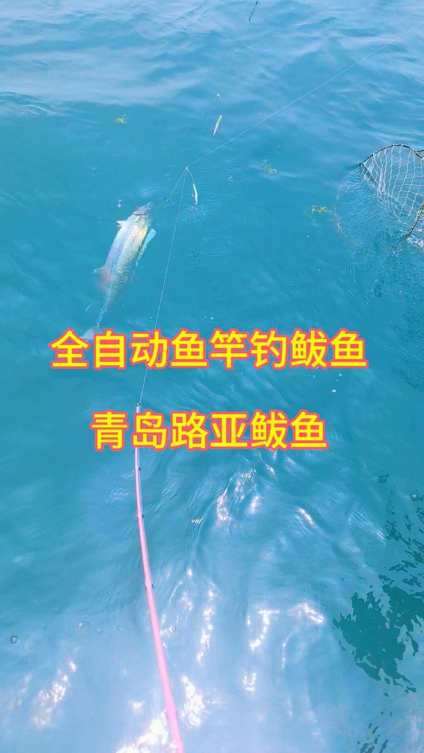 山东海钓几月(山东海钓季节) 山东海钓几月(山东海钓季节)