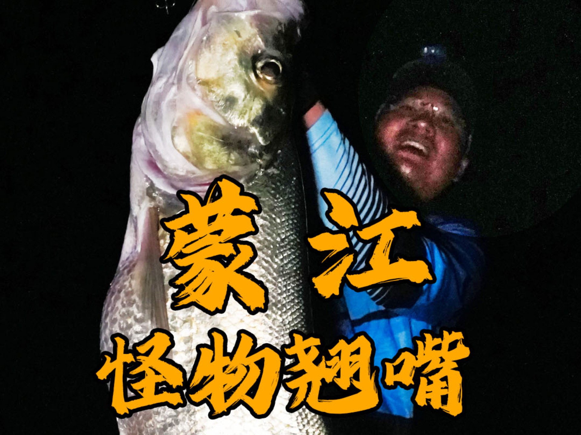 冰钓翘嘴技巧(冰钓教学视频大全) 冰钓翘嘴技巧(冰钓教学视频大全)