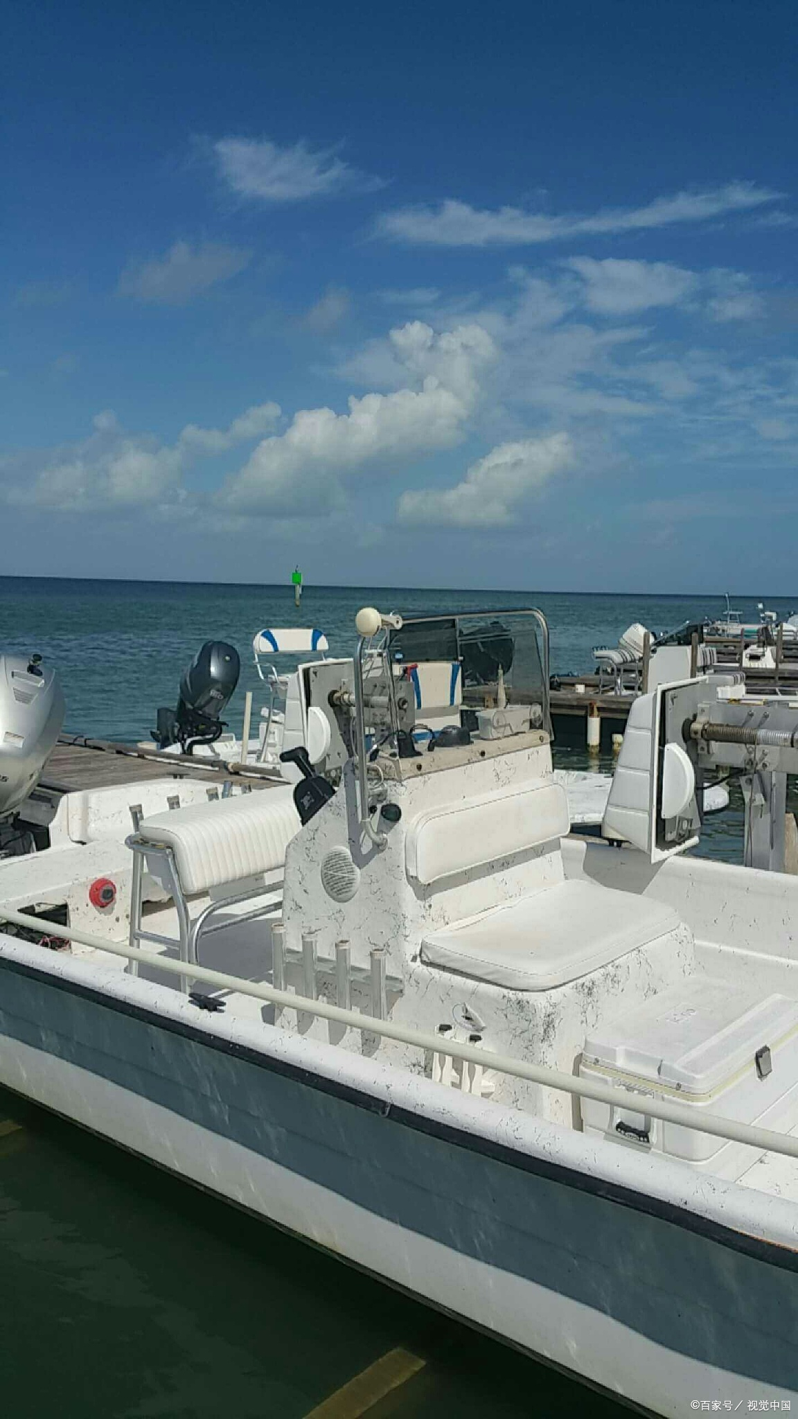 枸杞枸杞海海钓船(枸杞和海鱼能一起吃吗) 枸杞枸杞海海钓船(枸杞和海鱼能一起吃吗)