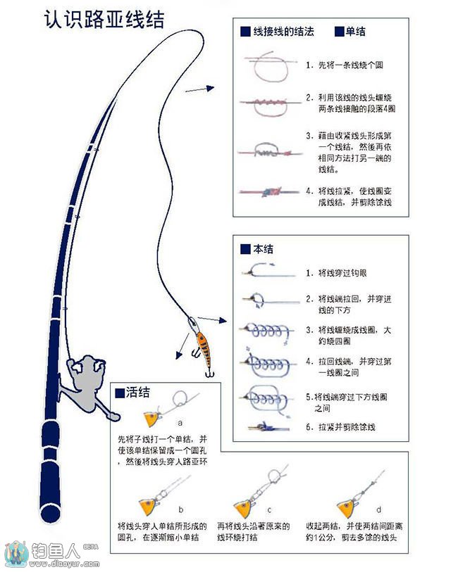 路亚鱼竿教程(路亚鱼竿使用教程)