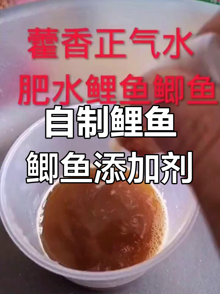 水瘦开什么饵料(水瘦鱼不开口怎么钓)