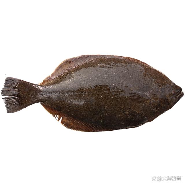 路亚比目鱼技巧(路亚公认钓翘嘴最快的钓法) 路亚比目鱼技巧(路亚公认钓翘嘴最快的钓法)