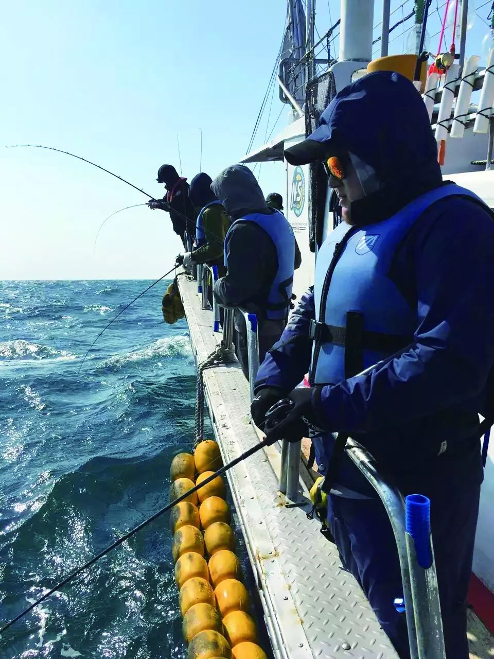 艺勇海钓(钓鱼的视频海钓)