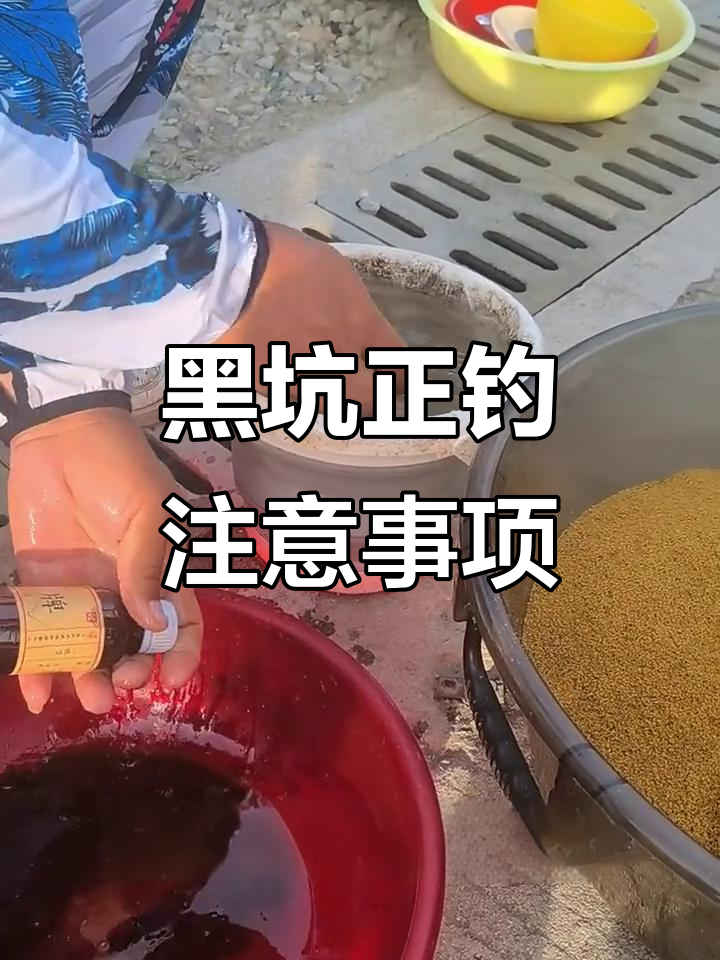 上海黑坑技巧(上海钓黑鱼的地方) 上海黑坑技巧(上海钓黑鱼的地方)