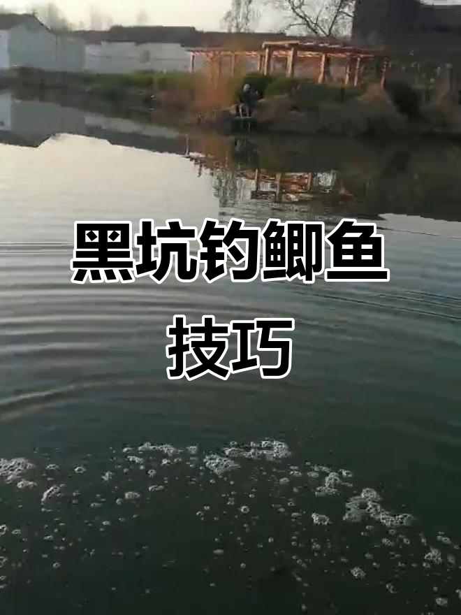 上海黑坑技巧(上海钓黑鱼的地方) 上海黑坑技巧(上海钓黑鱼的地方)