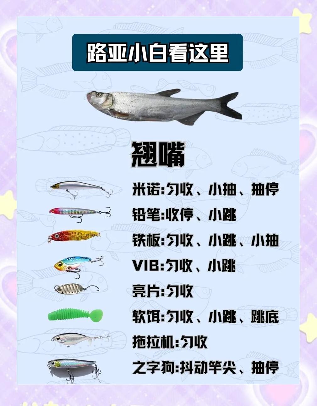 路亚假饵怎么使用(路亚假饵都怎么用) 路亚假饵怎么使用(路亚假饵都怎么用)
