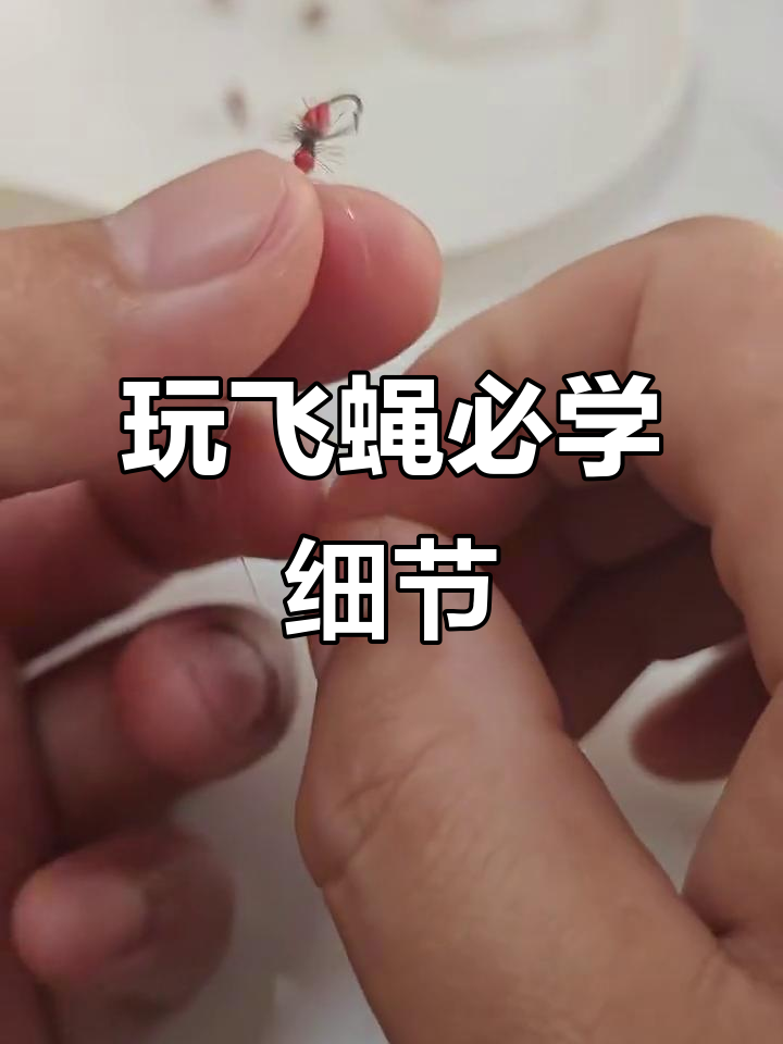 飞蝇钓钓鲤鱼技巧(飞蝇钓鲤鱼是浮水还是沉水) 飞蝇钓钓鲤鱼技巧(飞蝇钓鲤鱼是浮水还是沉水)