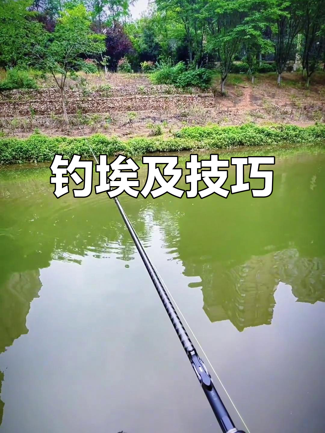 钓埃及用什么饵料(钓埃及用什么饵料最好) 钓埃及用什么饵料(钓埃及用什么饵料最好)