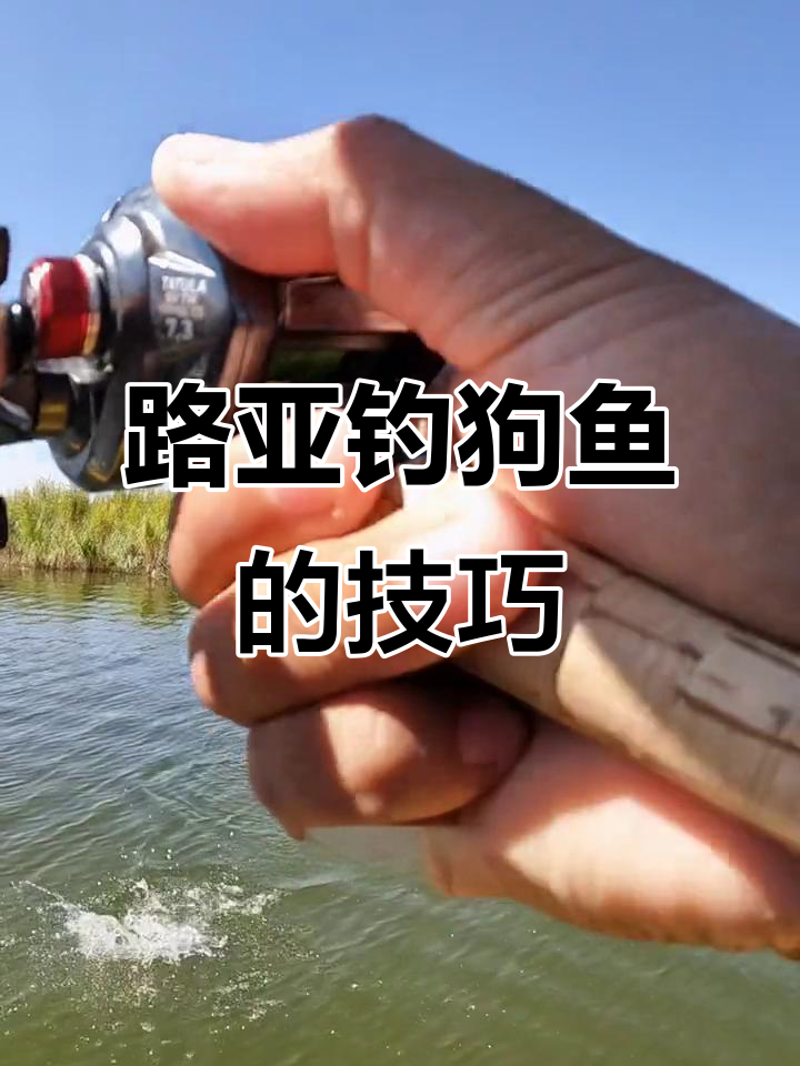 新疆哪里可以路亚(新疆哪里可以野钓) 新疆哪里可以路亚(新疆哪里可以野钓)