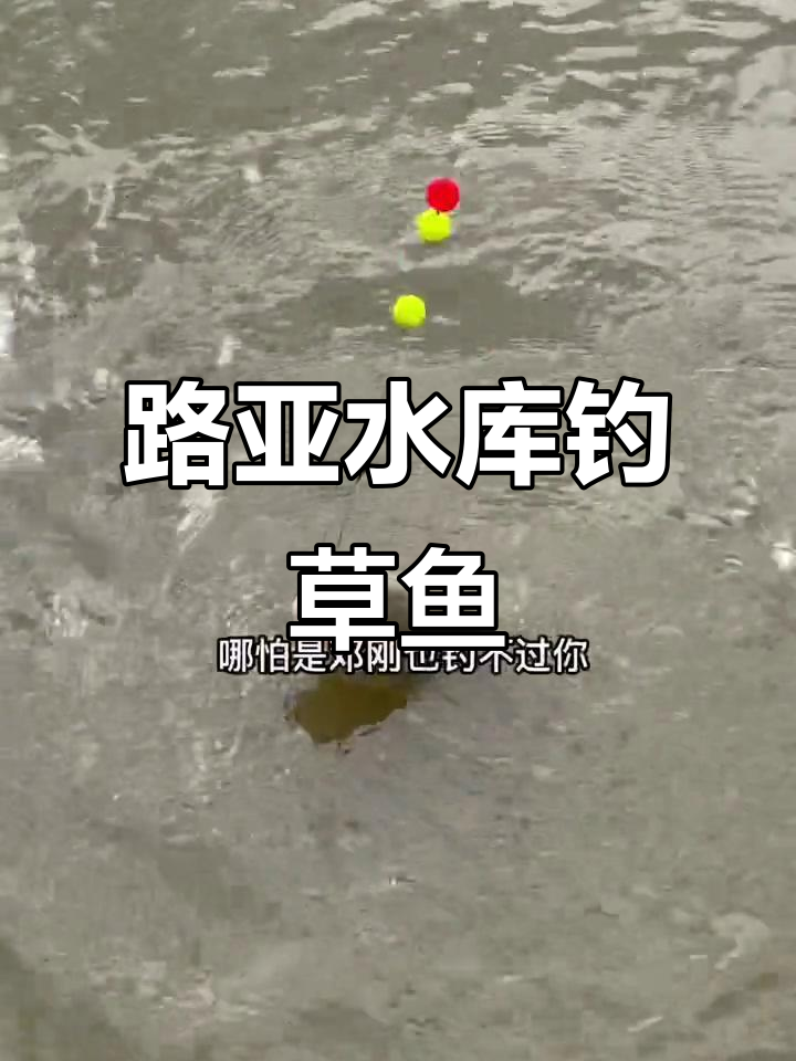 路亚怎么钓草鱼视频(路亚怎么钓草鱼和鲤鱼视频) 路亚怎么钓草鱼视频(路亚怎么钓草鱼和鲤鱼视频)
