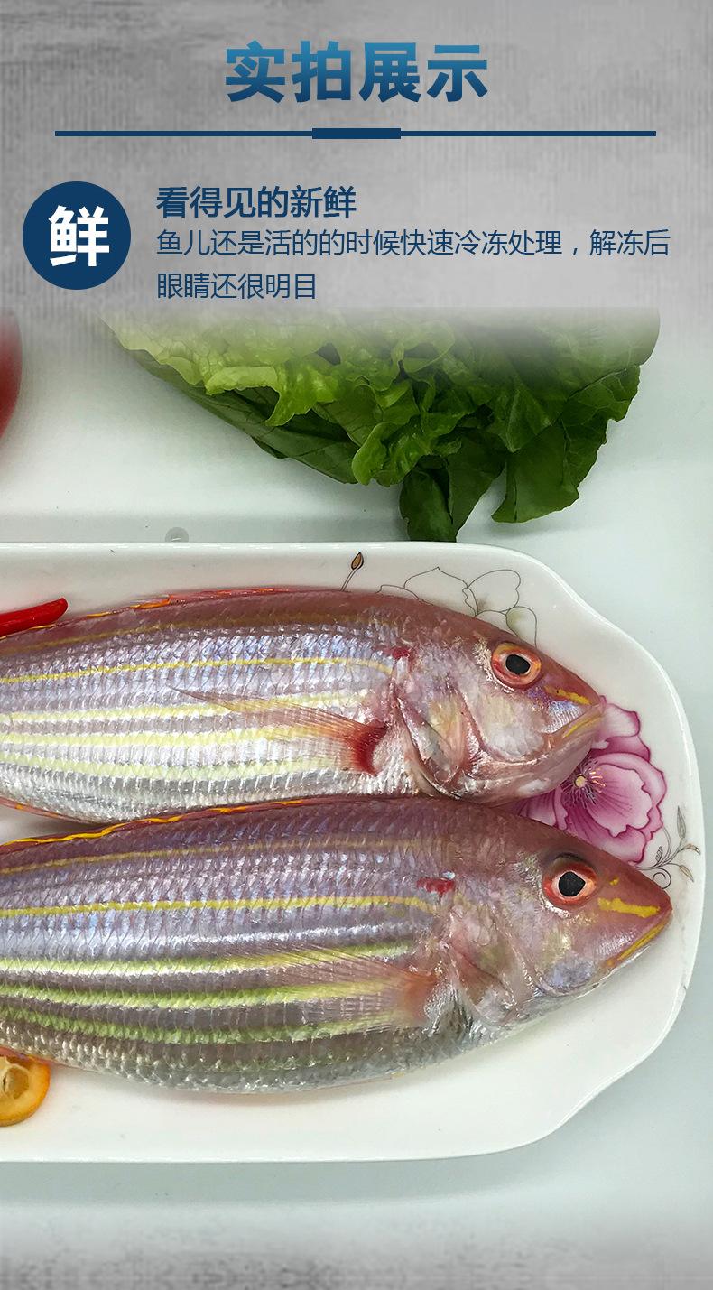 湛江海钓鱼料(湛江海钓鱼料批发市场) 湛江海钓鱼料(湛江海钓鱼料批发市场)