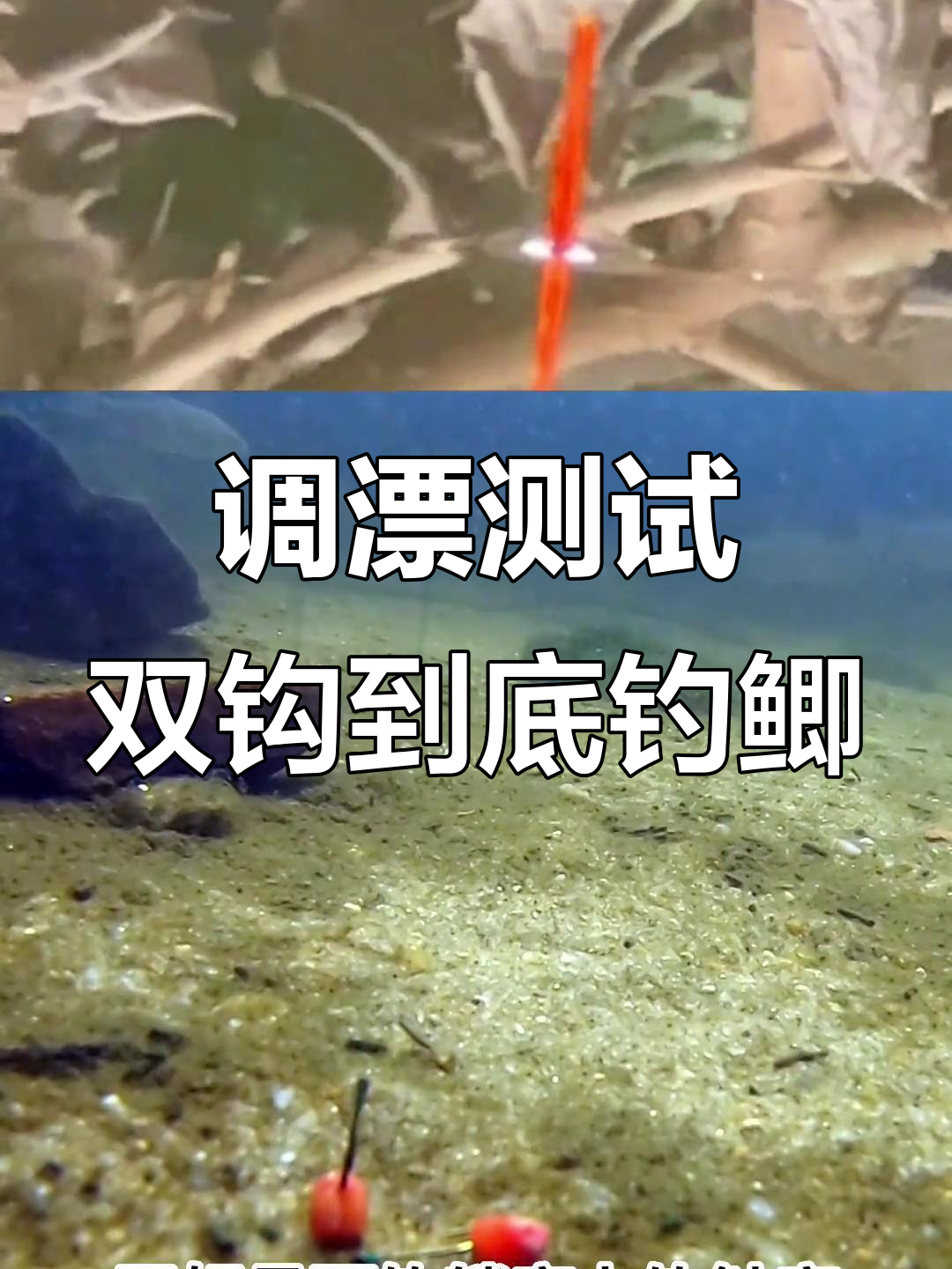 四月钓塘鲫鱼技巧(四月钓鲫鱼钓底还是钓浮) 四月钓塘鲫鱼技巧(四月钓鲫鱼钓底还是钓浮)