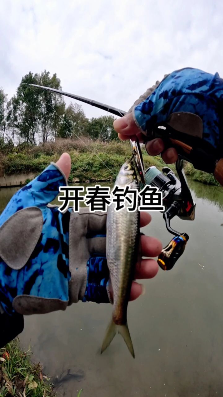 开春钓路亚(开春怎么路亚翘嘴) 开春钓路亚(开春怎么路亚翘嘴)